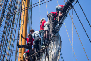 explore ocean-hermione-pays basque-activité saint jean de luz-loisir cote basque-catamaran-balade en bateau pays basque-whale watching-dauphin pays basque-hermione pasaia