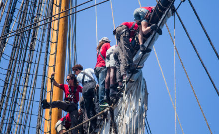 explore ocean-hermione-pays basque-activité saint jean de luz-loisir cote basque-catamaran-balade en bateau pays basque-whale watching-dauphin pays basque-hermione pasaia