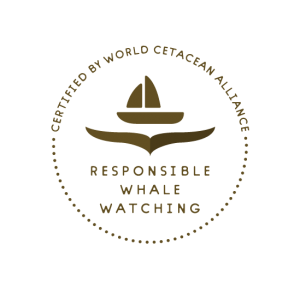 Certification de Whale Watching responsable décernée par World Cetacean Alliance