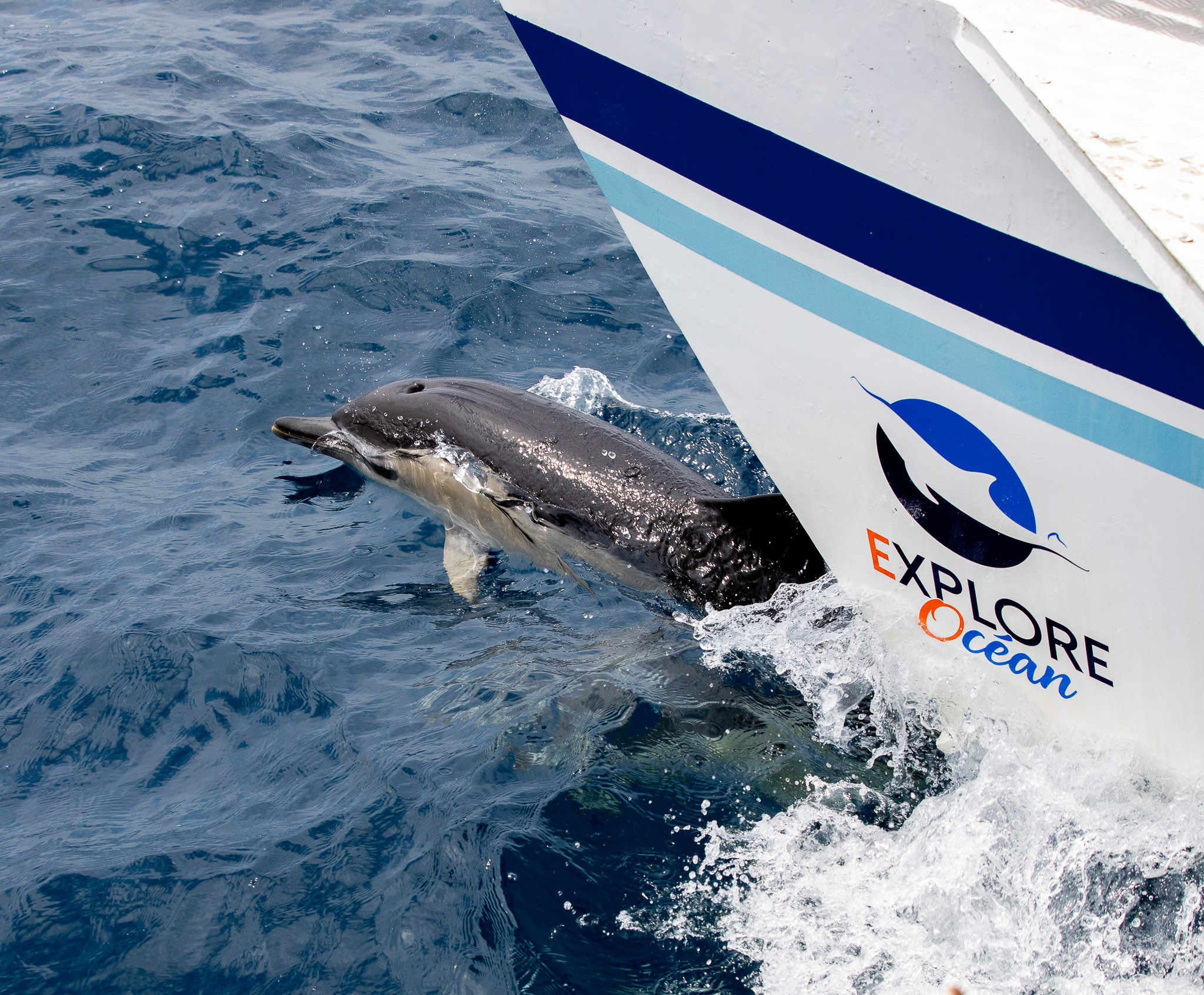 Exp&eacute;dition C&eacute;tac&eacute;s - Explore Oc&eacute;an